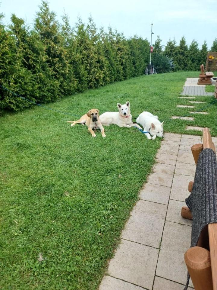 Domki Pod Brzozami Sarbinowo Exterior foto